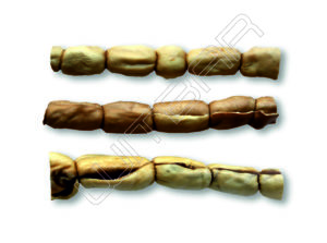 Pferdekopfhaut Rollo 30 Cm