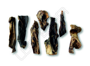 Goat lung