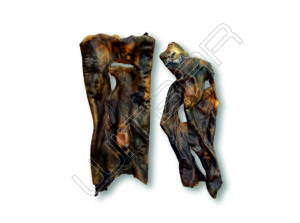 Horse skin plates